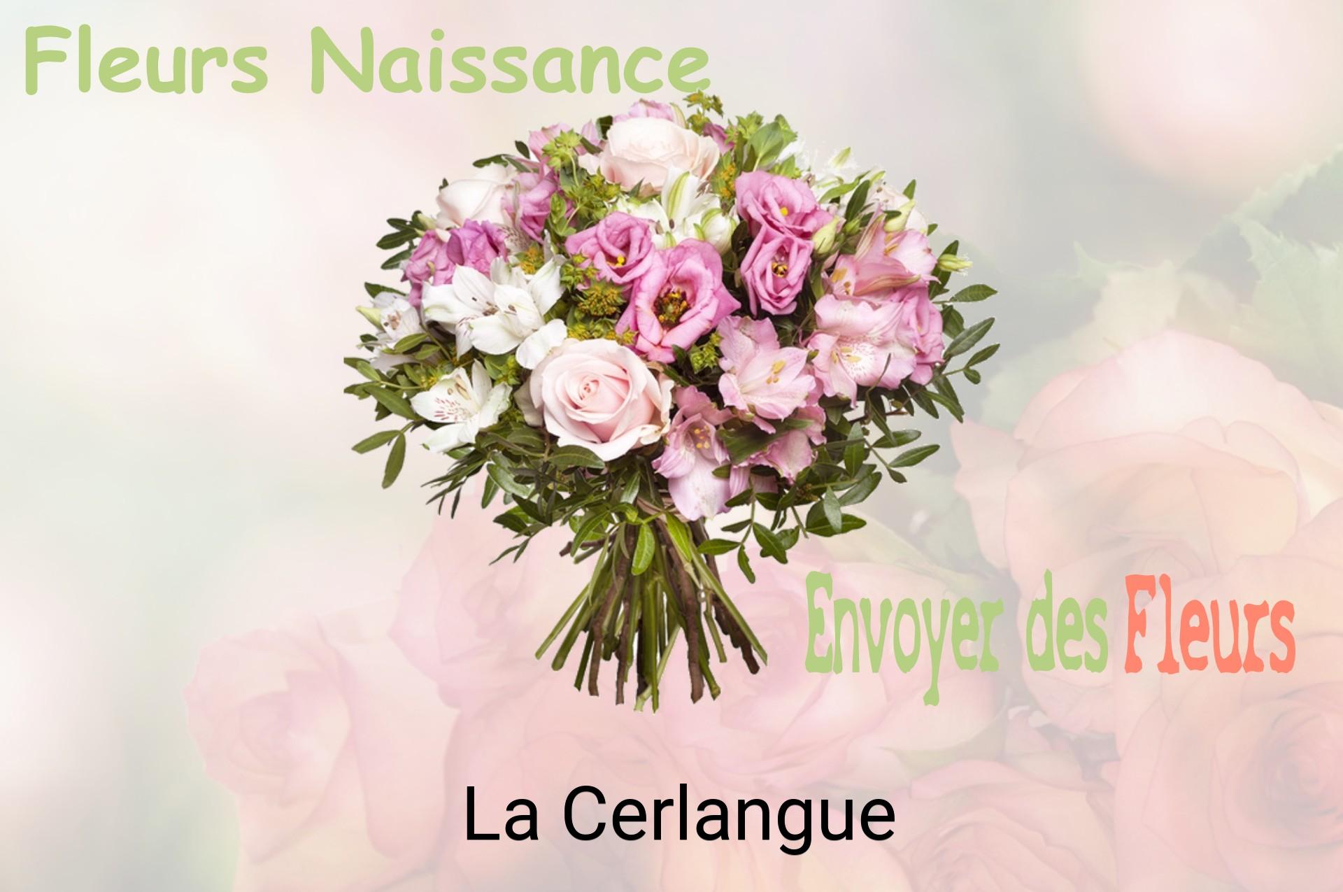 Bouquet de fleurs de naissance livré à La Cerlangue